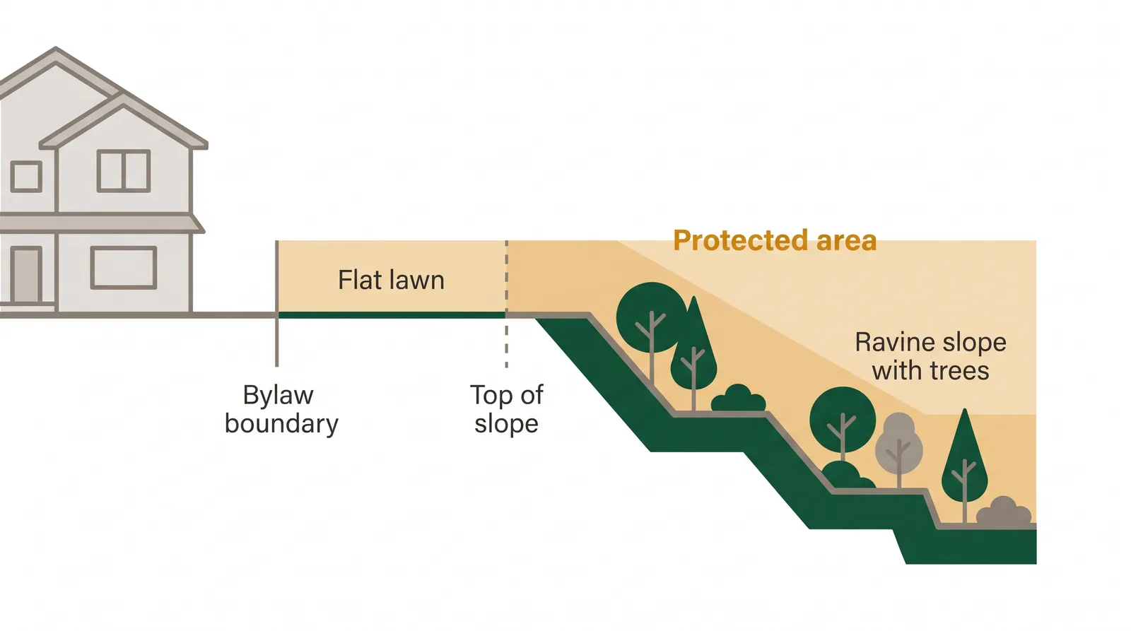 Cross-section diagram of a Toronto backyard next to a ravine showing the protected zone extending onto flat lawn beyond the top of the slope