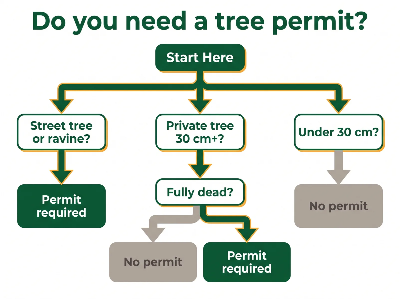 Decision tree diagram for whether a Toronto tree removal permit is required based on private tree size, street tree, ravine location, and whether the tree is fully dead