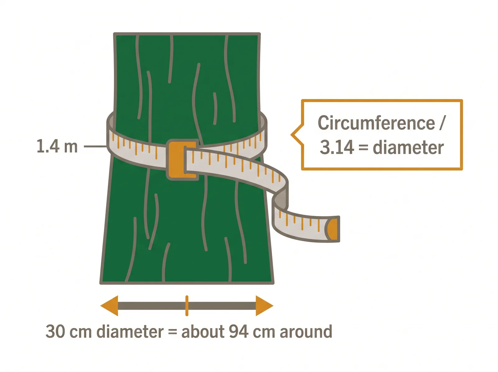 Diagram showing how to measure tree trunk diameter at breast height, tape wrapped at 1.4 metres above ground, with circumference divided by 3.14 equals diameter and 30 cm threshold marked