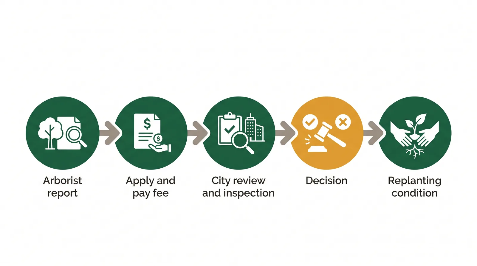 Process timeline diagram of a Toronto tree removal permit application: hire arborist for report, submit application and fee, City review and possible inspection, decision, then replanting condition
