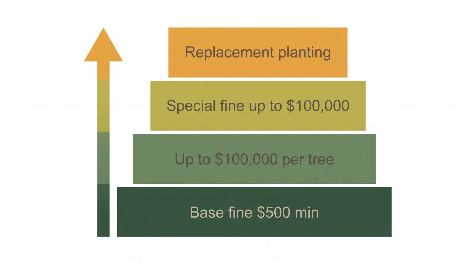 Diagram showing the layered cost of illegal tree removal in Toronto: base fine, per-tree maximum, special fine, and replanting order