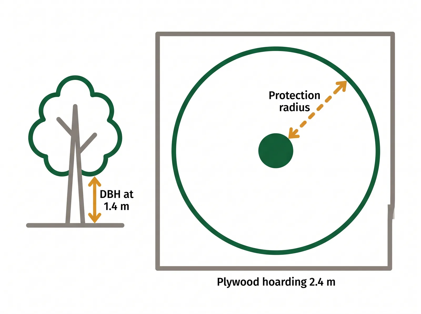 Plan-view diagram of a Toronto tree protection zone showing the trunk, diameter measured at 1.4 metres, the protection radius circle, and 2.4 metre plywood hoarding at the zone edge