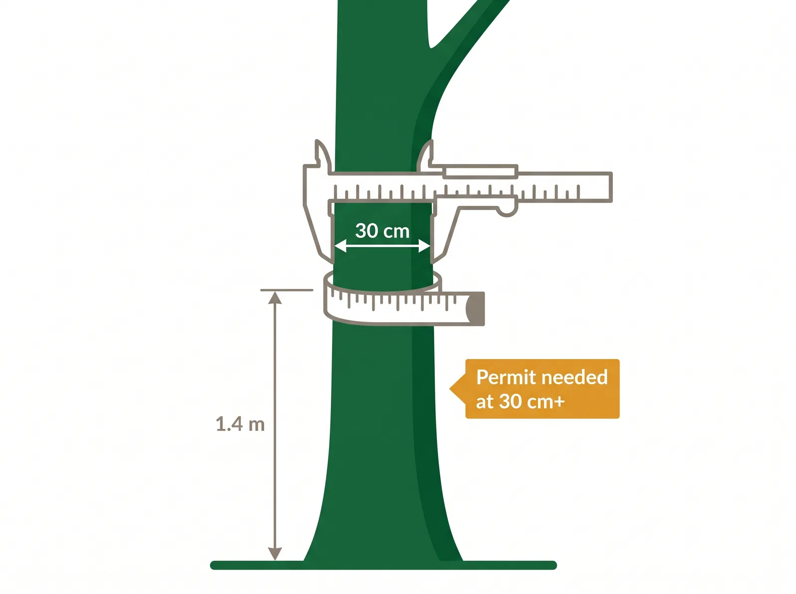 Diagram showing how to measure tree diameter at breast height, a measuring tape wrapped around a trunk at 1.4 metres above the ground with the 30 cm permit threshold labelled