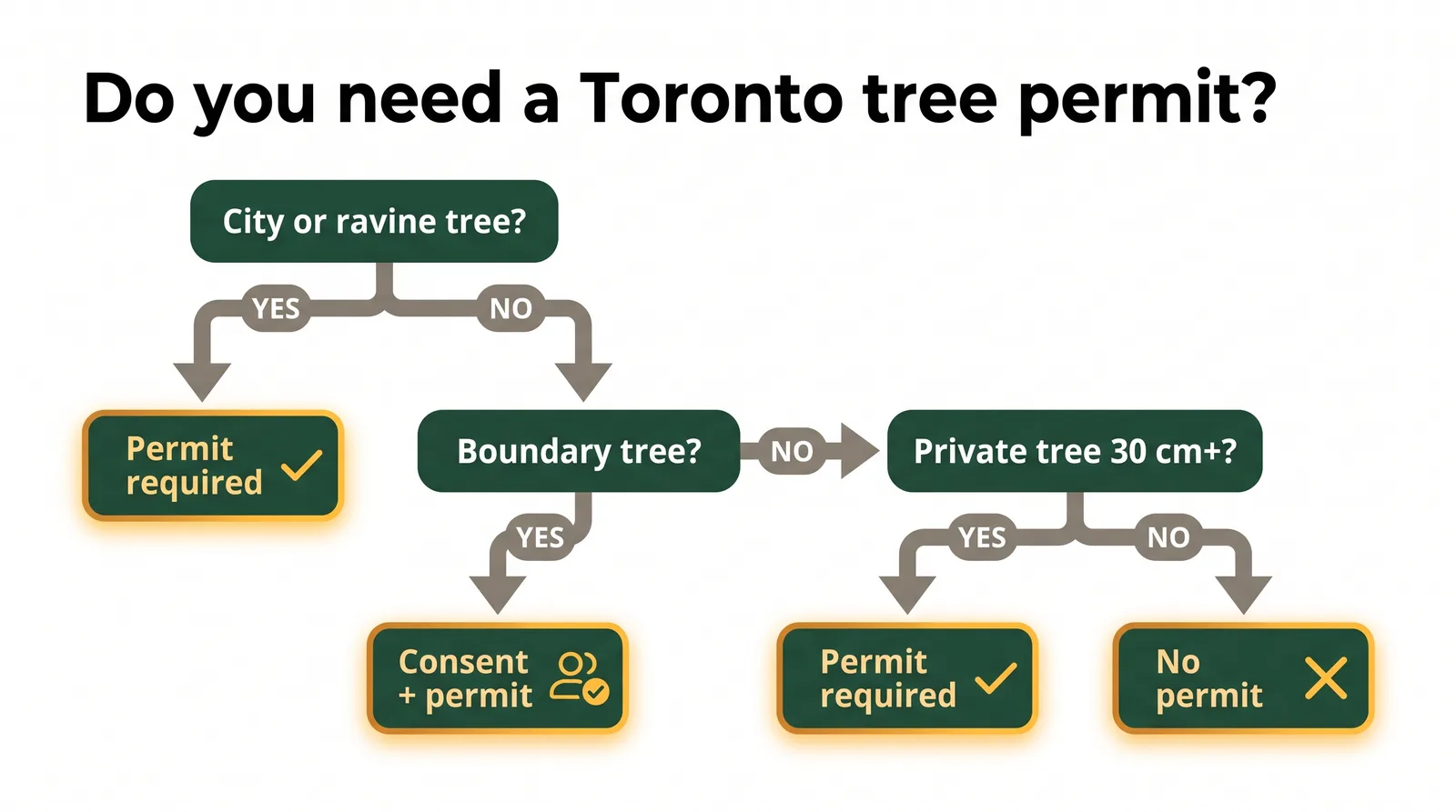 Decision tree diagram for whether a Toronto tree removal needs a permit, branching on city or ravine tree, boundary tree, and private tree 30 cm or larger