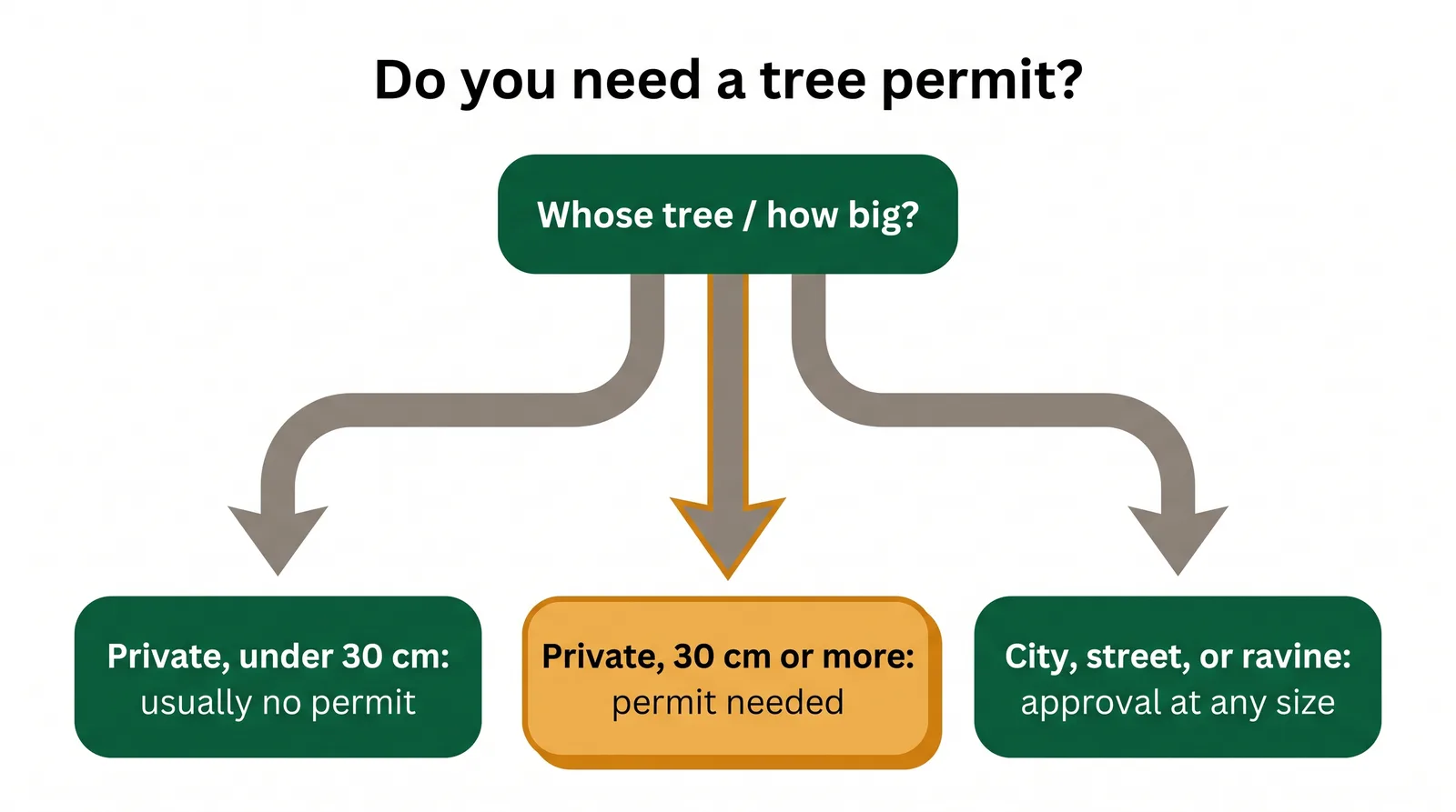 Decision diagram for Toronto tree removal: private tree under 30 cm no permit, 30 cm or more needs a permit, City or ravine tree always needs approval