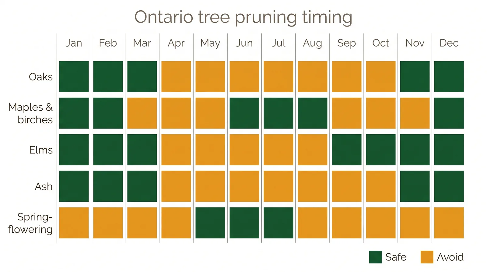 Species timing chart showing safe and avoid pruning months for oaks, maples and birches, elms, ash, and spring-flowering trees in Ontario