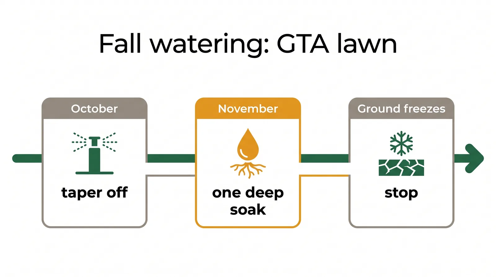 Timeline diagram of fall lawn watering in the GTA showing taper in October, one deep soak in November, and stop at ground freeze