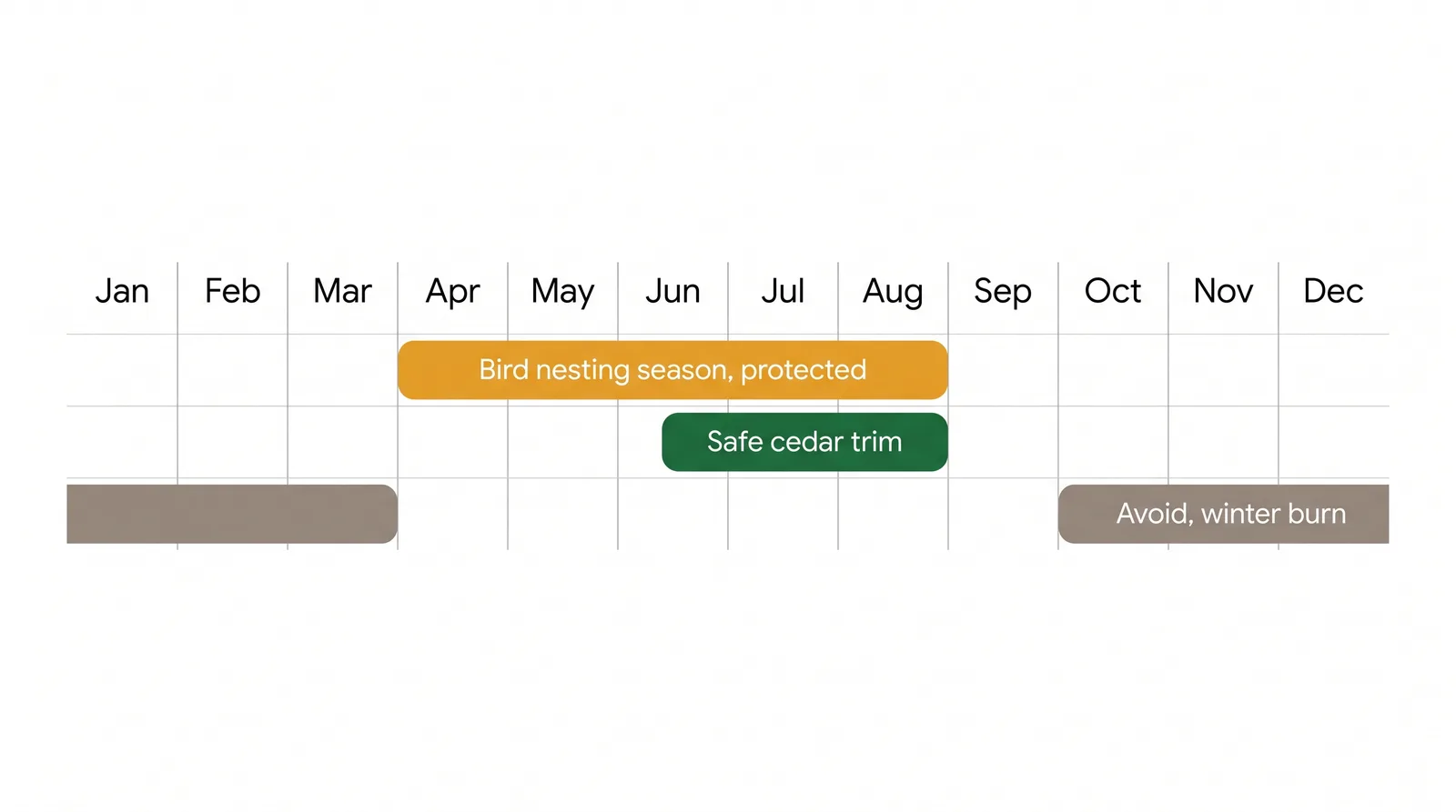 Year-round Toronto hedge-trimming calendar showing bird nesting season April to August in amber, the safe cedar-trimming window late June to early August in green, and late fall to winter marked avoid