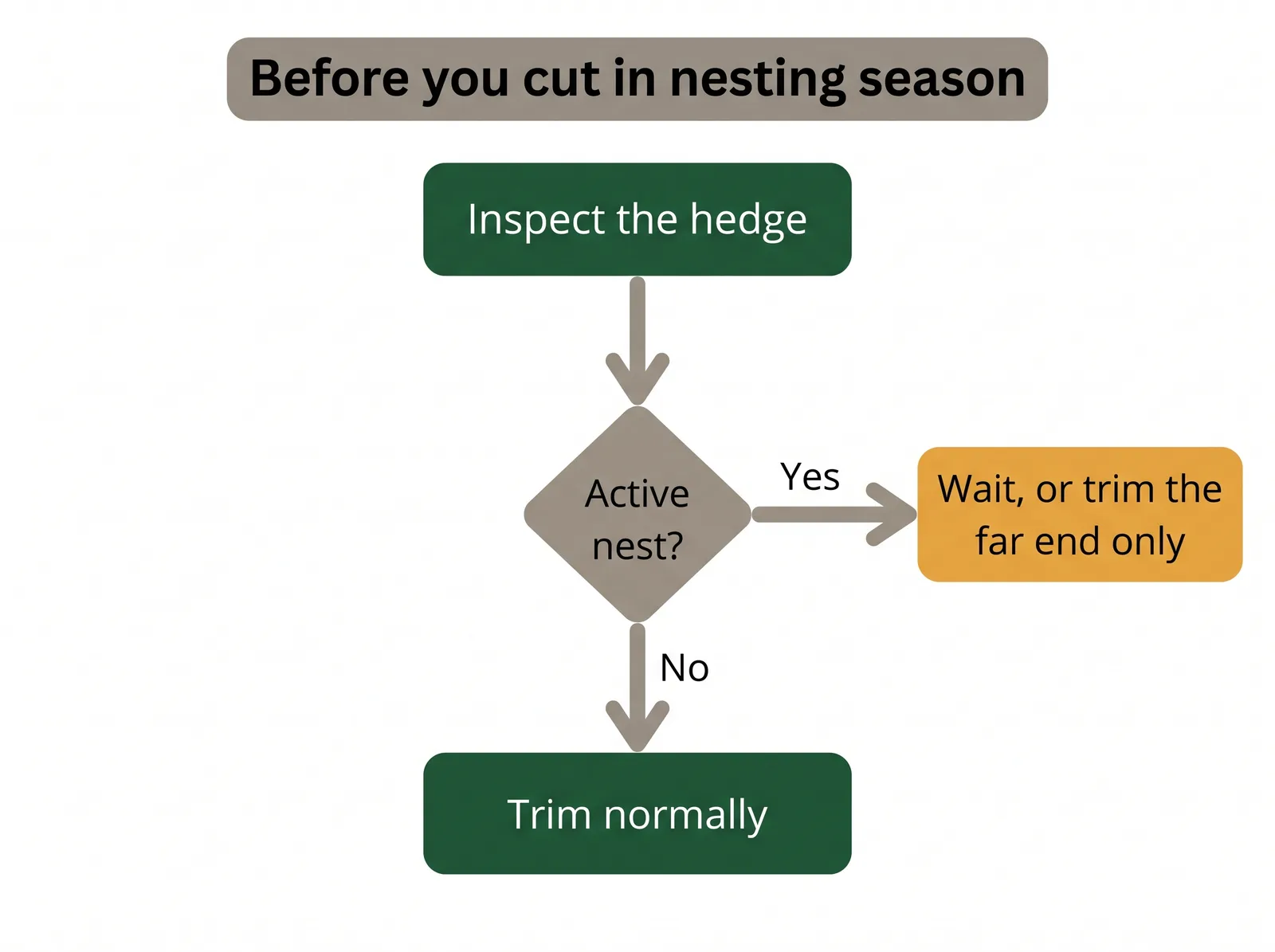 Decision flow diagram for trimming a hedge during nesting season: inspect the hedge, if an active nest is found then wait or trim the far end, if clear then trim normally